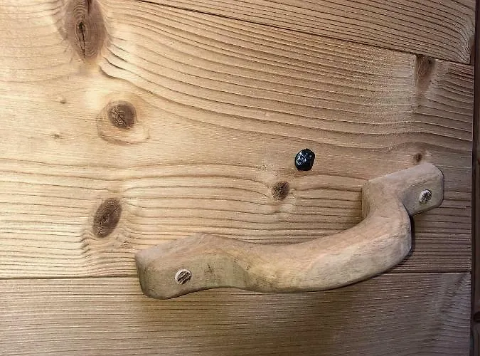 Le Joli Nid * Les Deux Alpes