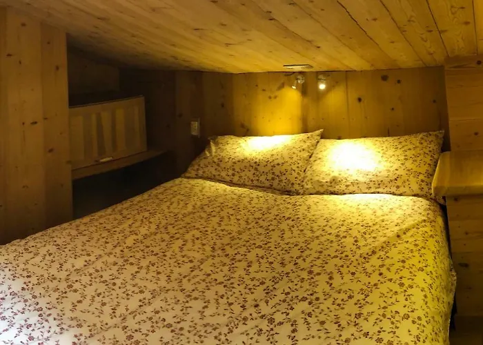 Le Joli Nid Daire Les Deux Alpes